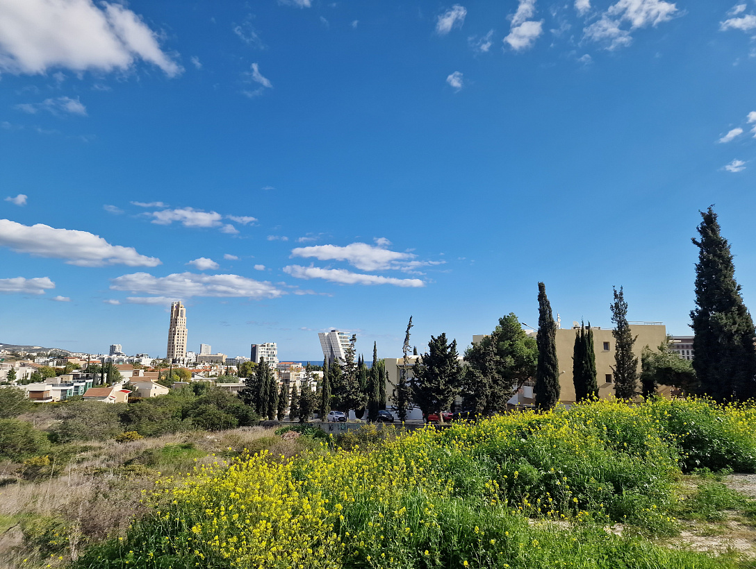 Land in Limassol