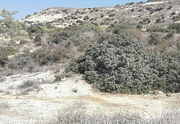 Фото 9