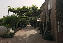 Photo 24