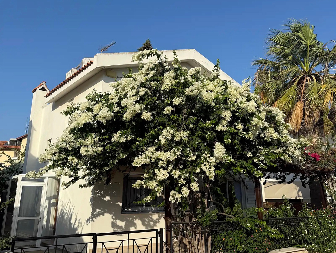 Дом в Фамагусте