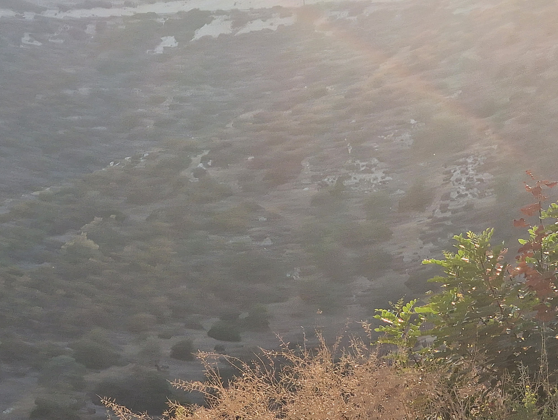 Land in Limassol