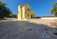Photo 48