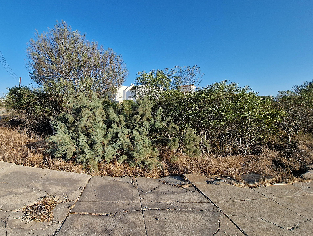 Land in Famagusta