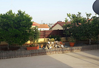 Photo 39