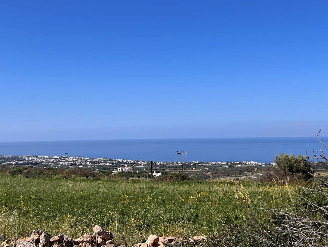 Land in Paphos