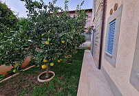 Photo 50