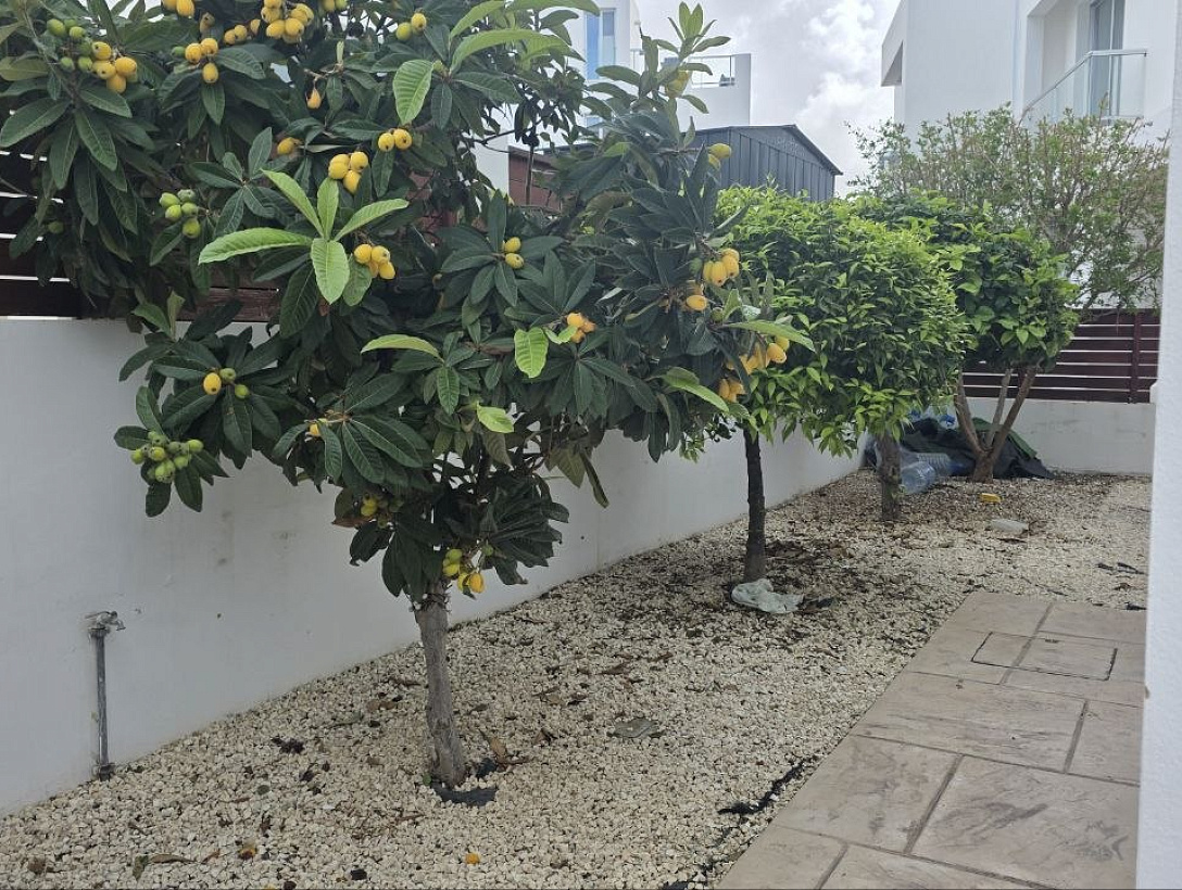 Вилла в Пафосе