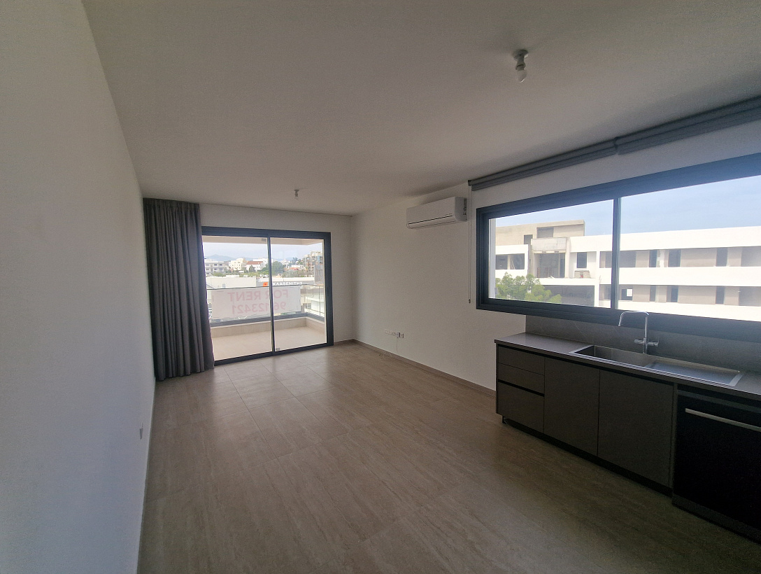 Penthouse in Nicosia