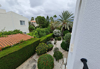 Photo 47