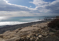 Photo 45