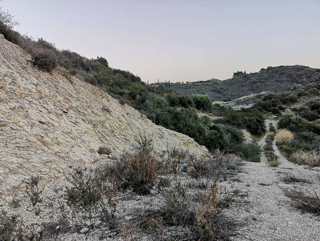 Land in Limassol