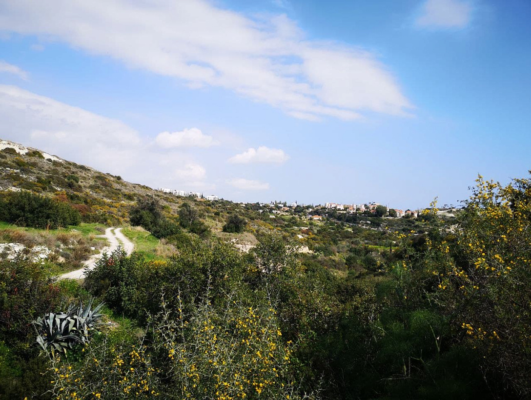 Land in Limassol