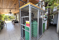 Photo 40