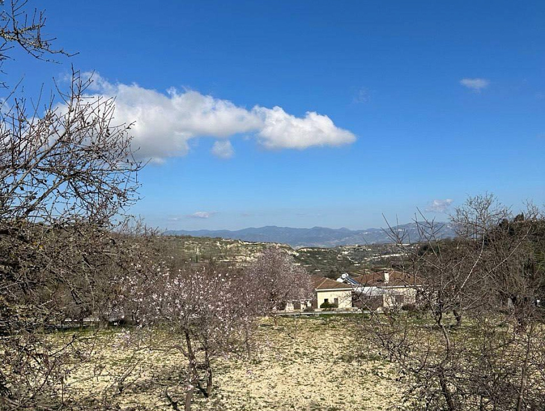 Land in Paphos