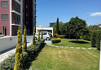 Фото 42