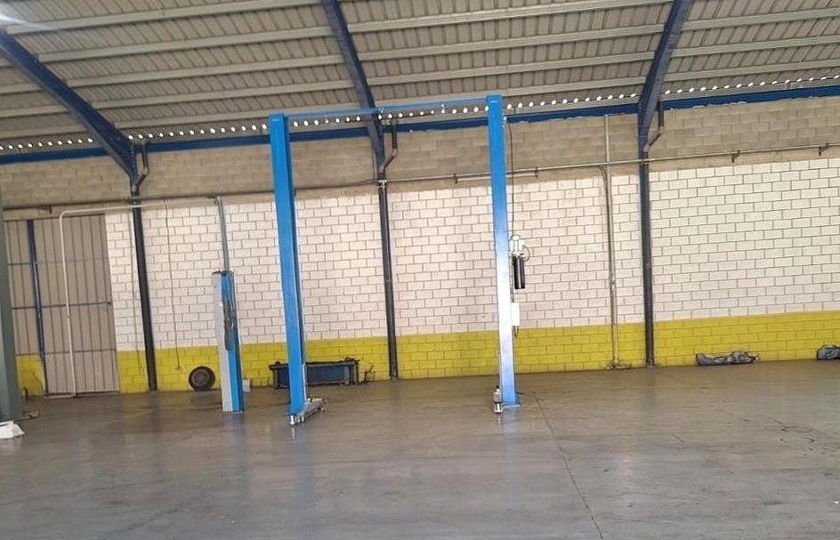 Photo 6