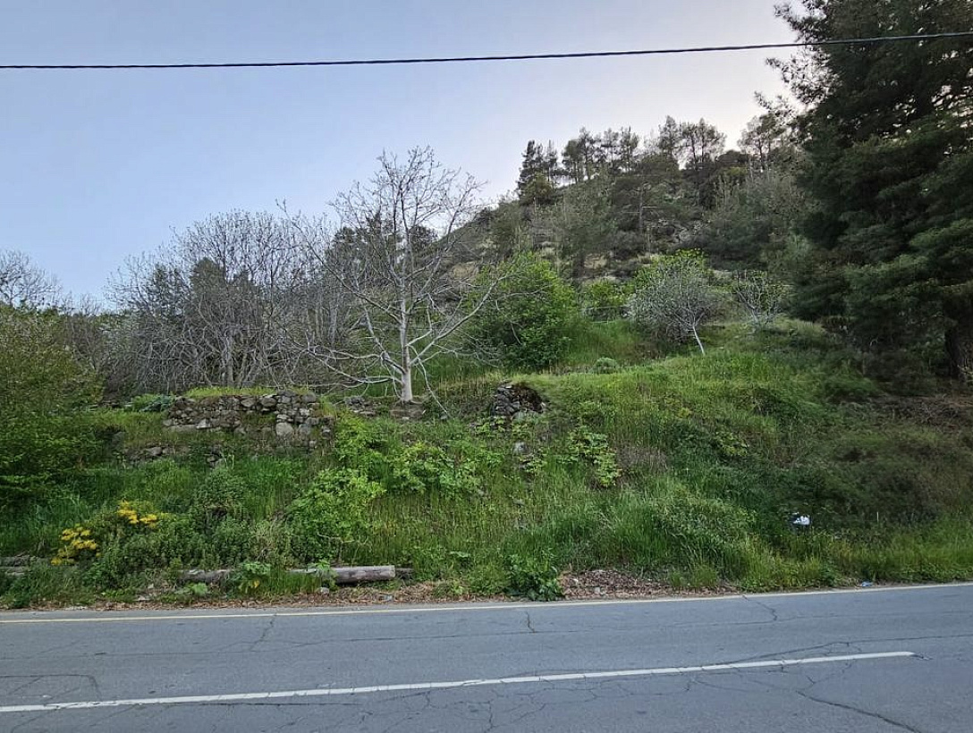 Земля в Никосии