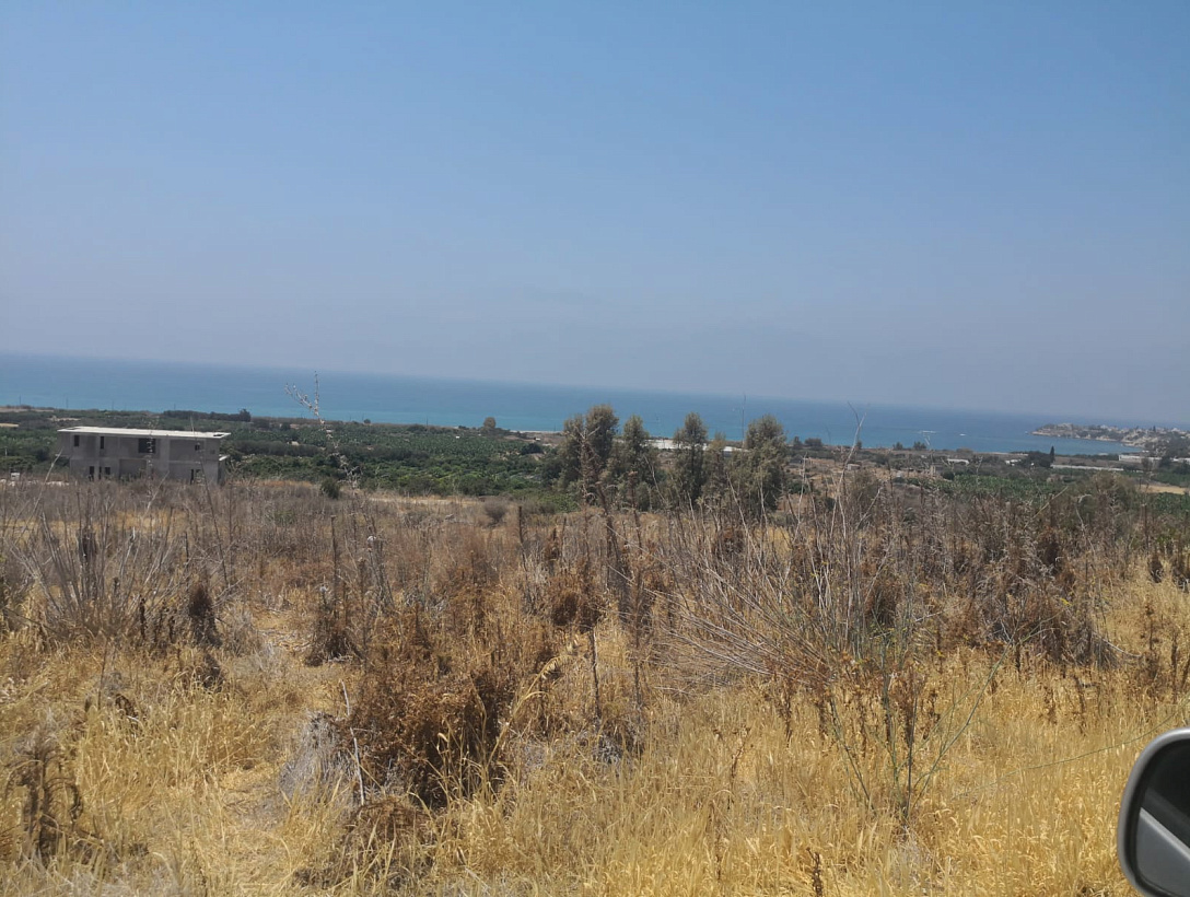 Land in Paphos