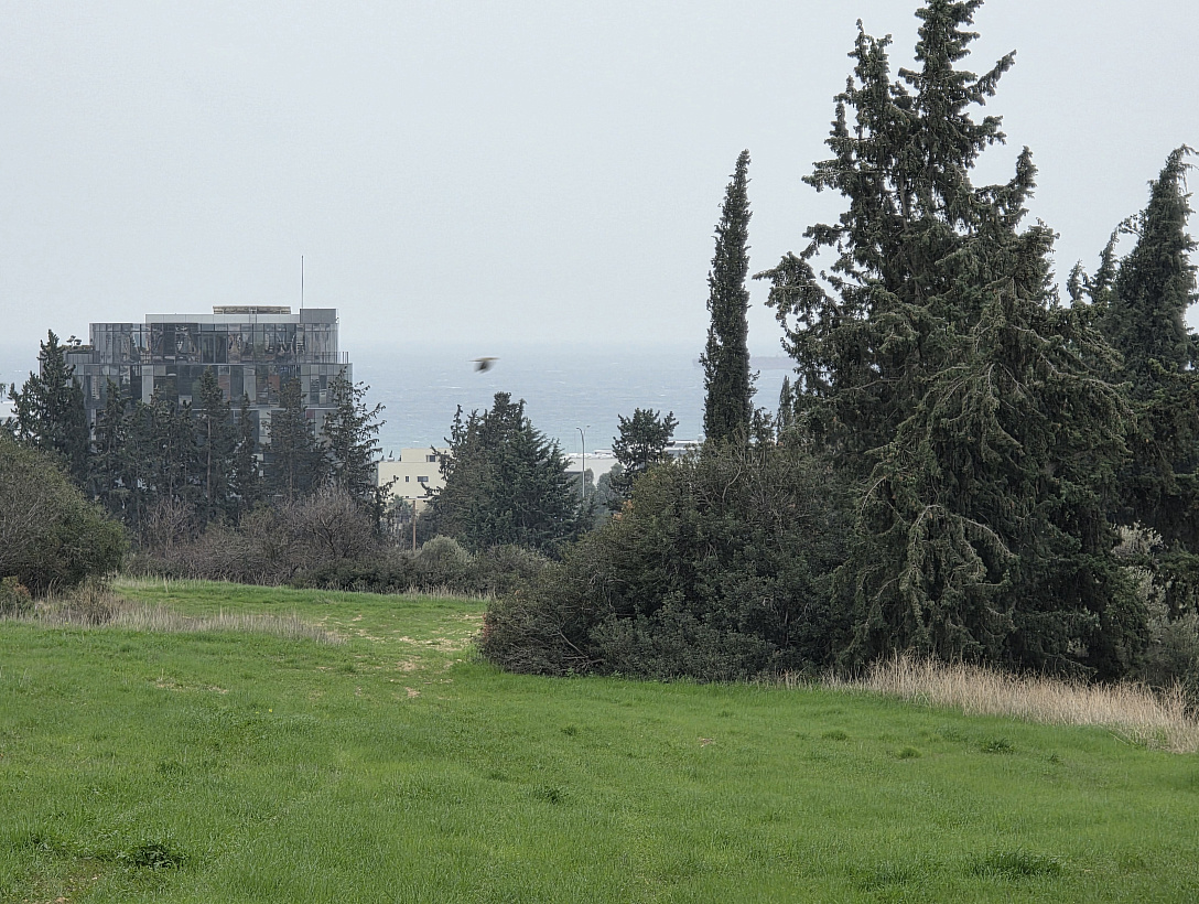 Земля в Лимассоле