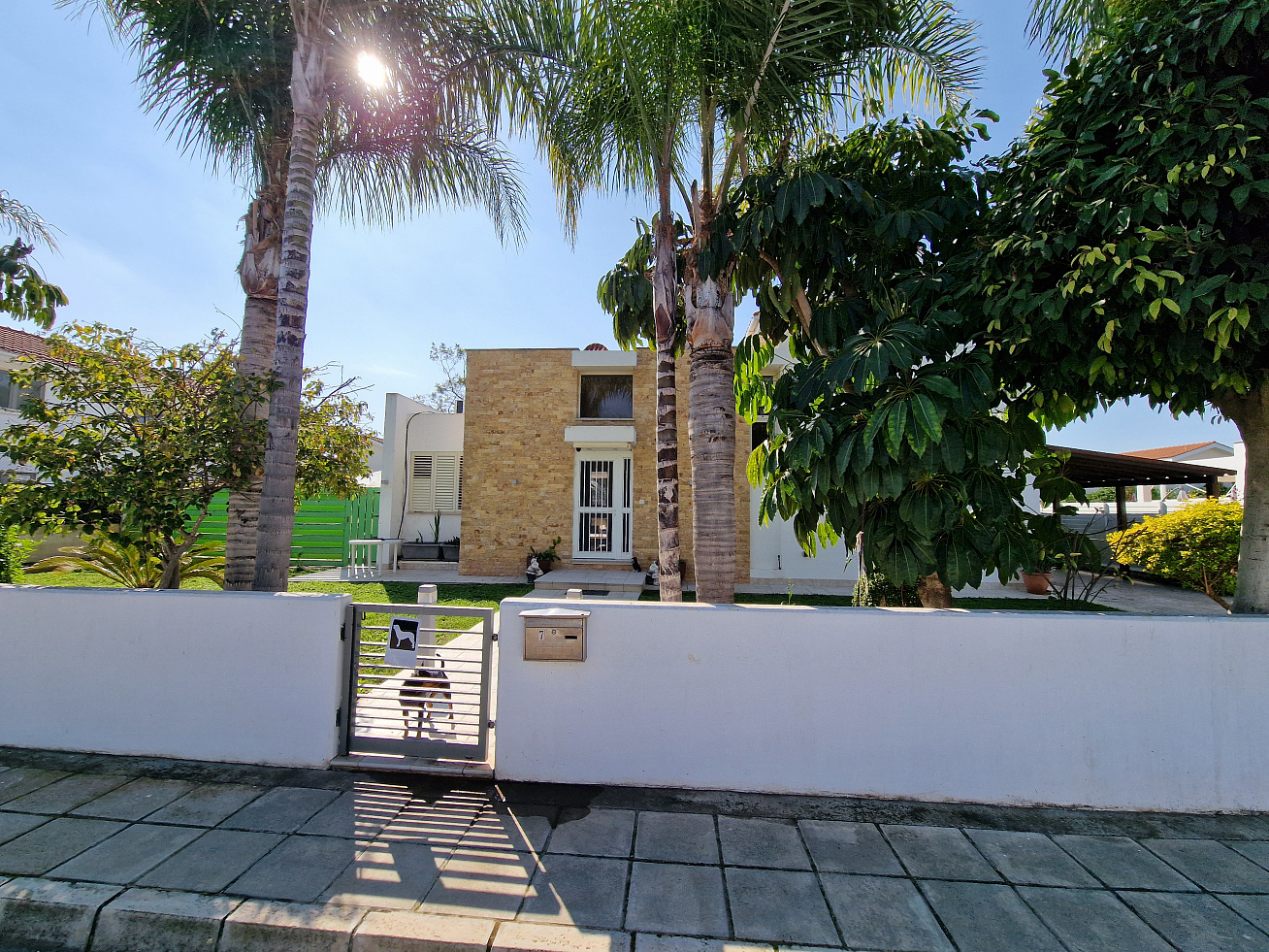 Photo 44