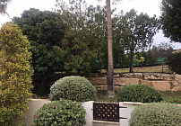 Photo 48
