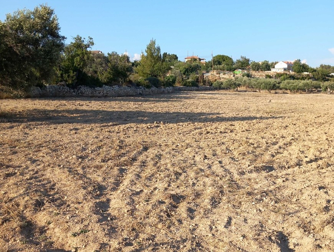 Land in Limassol