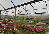 Фото 8