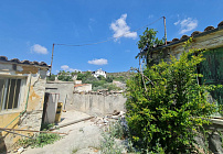 Photo 35