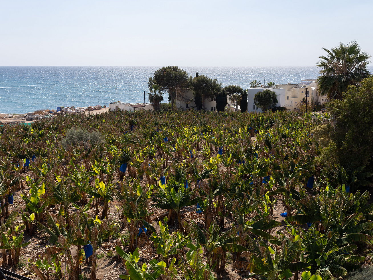 Photo 47