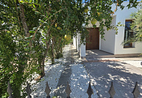 Photo 48