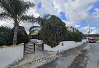 Photo 47