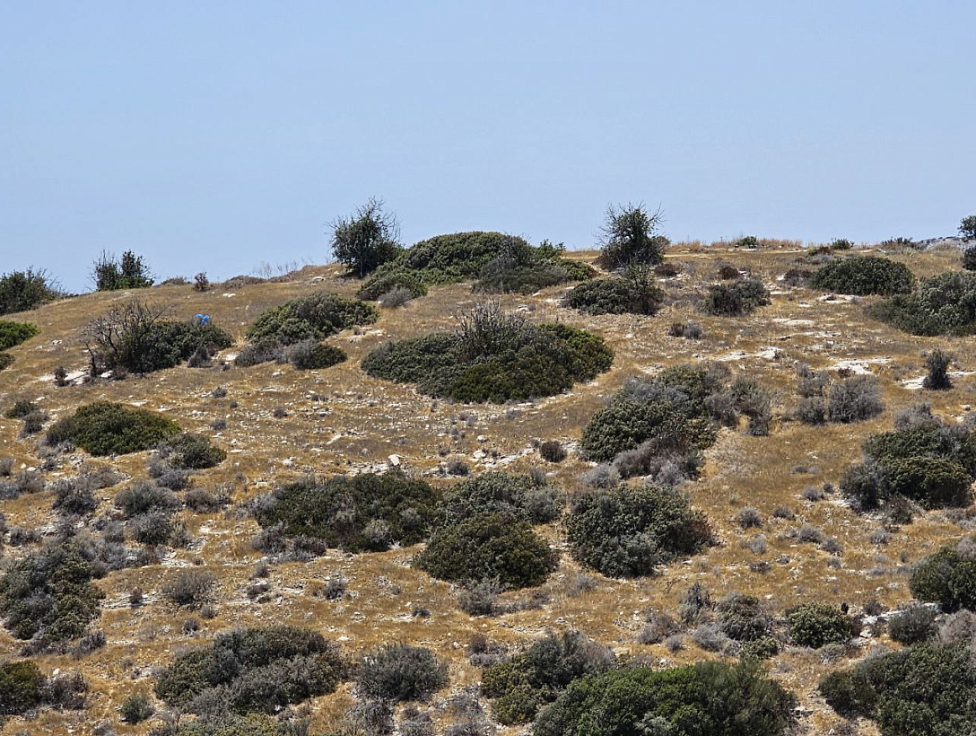 Land in Limassol
