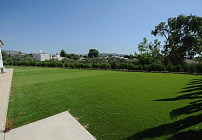 Photo 31