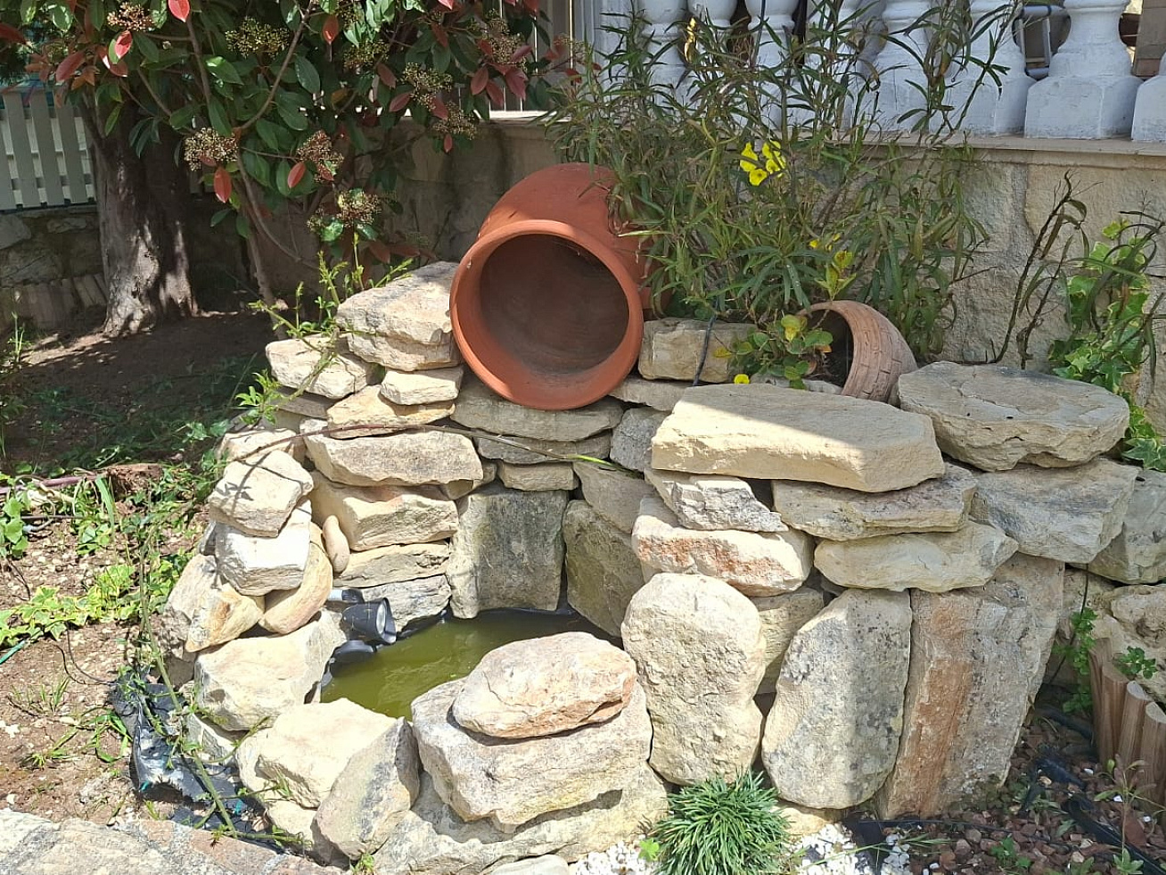 Photo 19