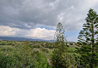 Фото 5