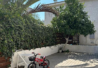 Фото 25 Фото 25