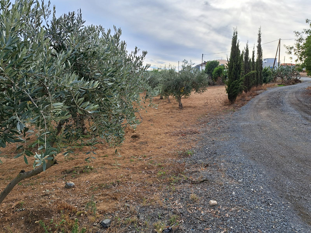 Photo 26