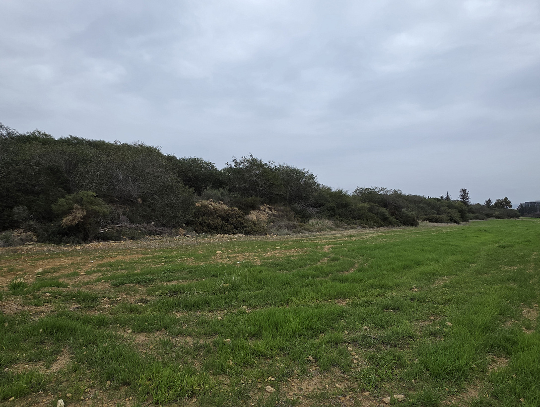 Земля в Лимассоле