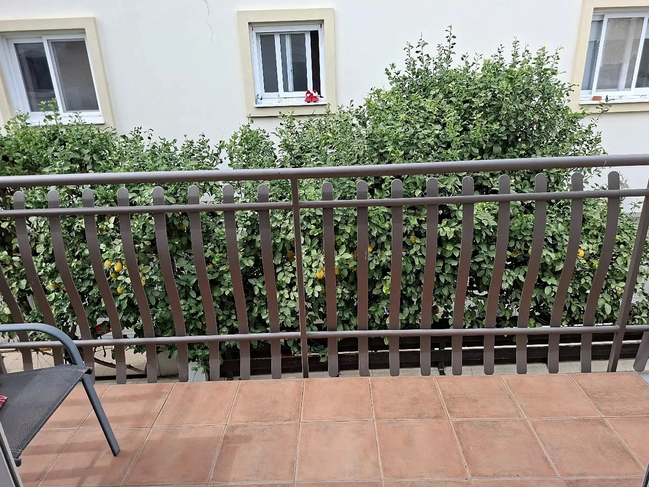 Photo 15