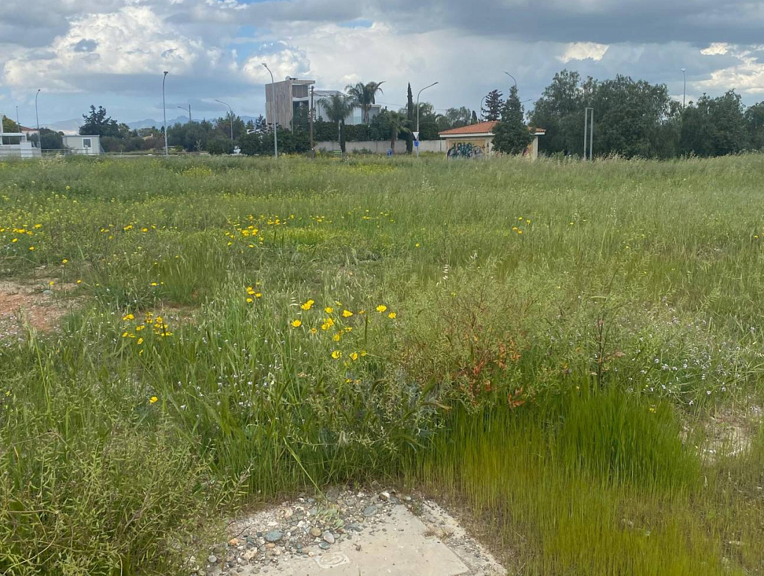 Land in Nicosia