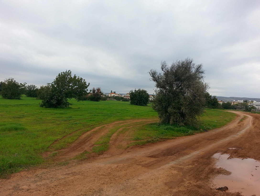 Land in Limassol