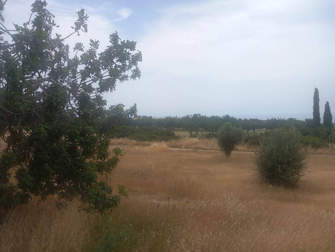Land in Paphos