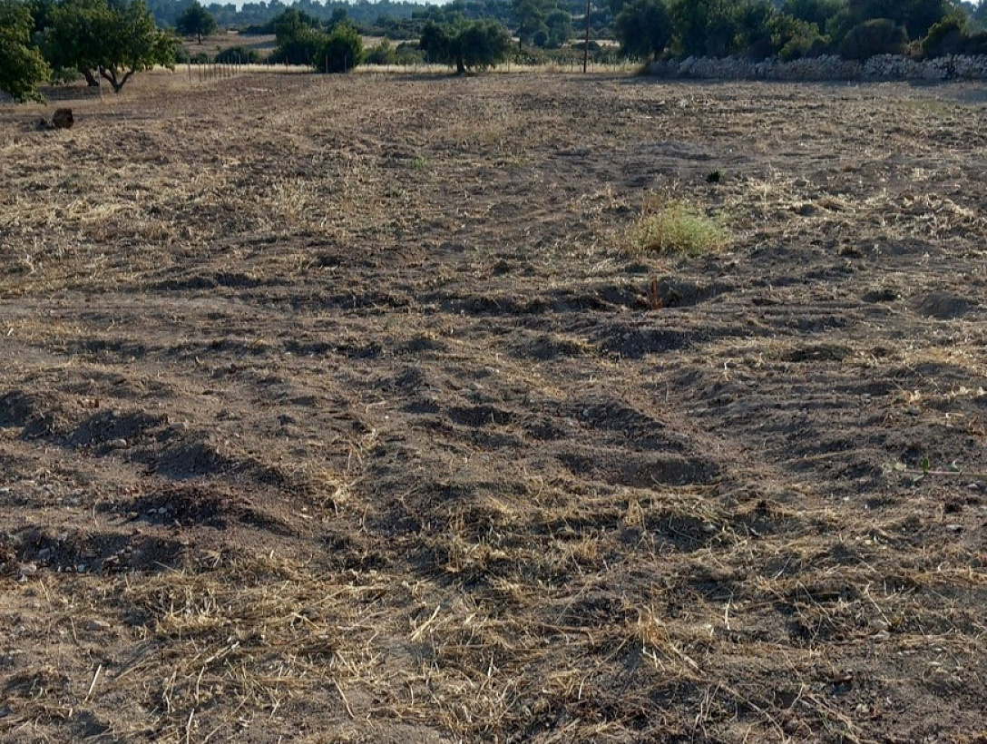 Land in Limassol