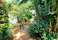 Photo 48