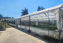 Фото 9