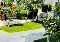 Photo 24