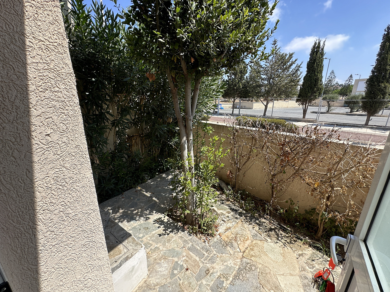 Photo 22