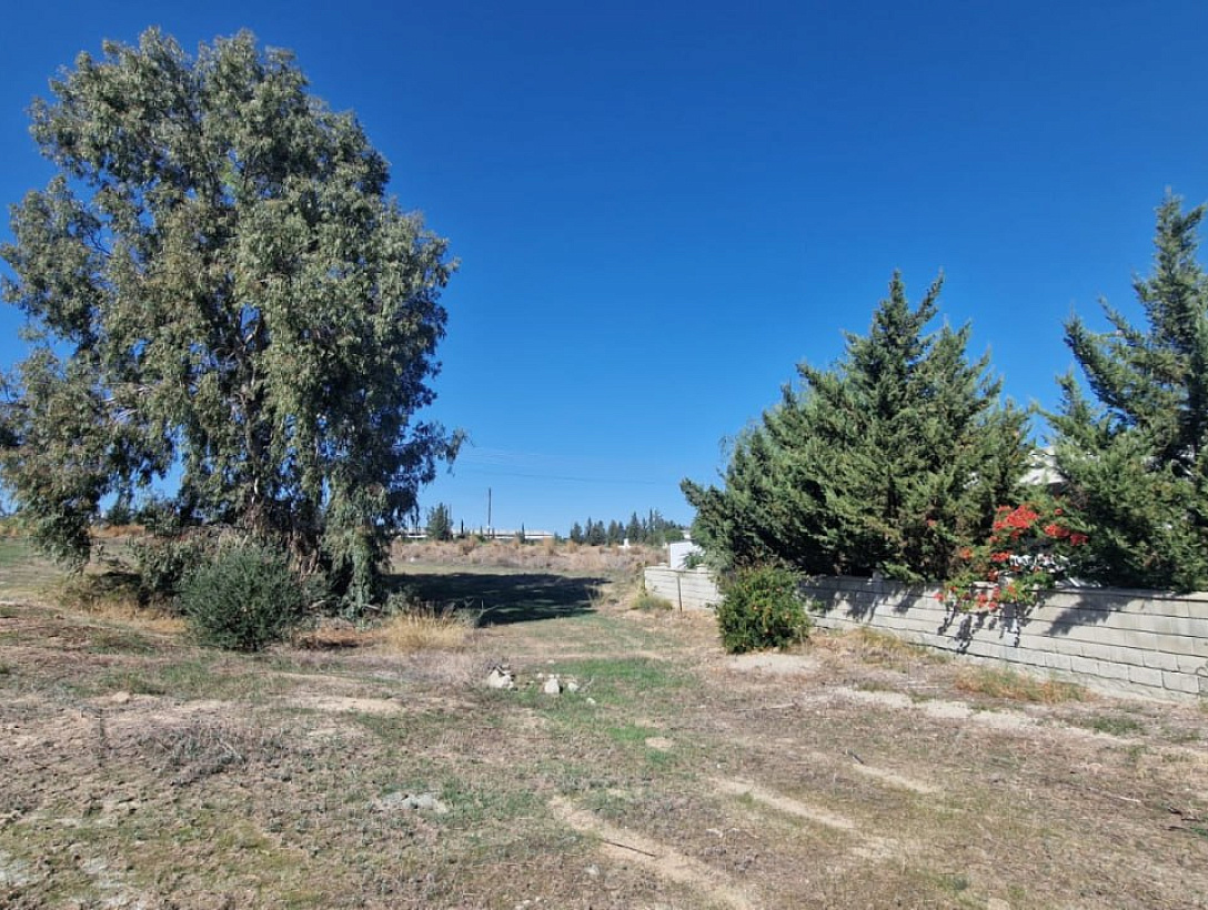 Land in Nicosia