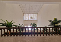 Photo 43