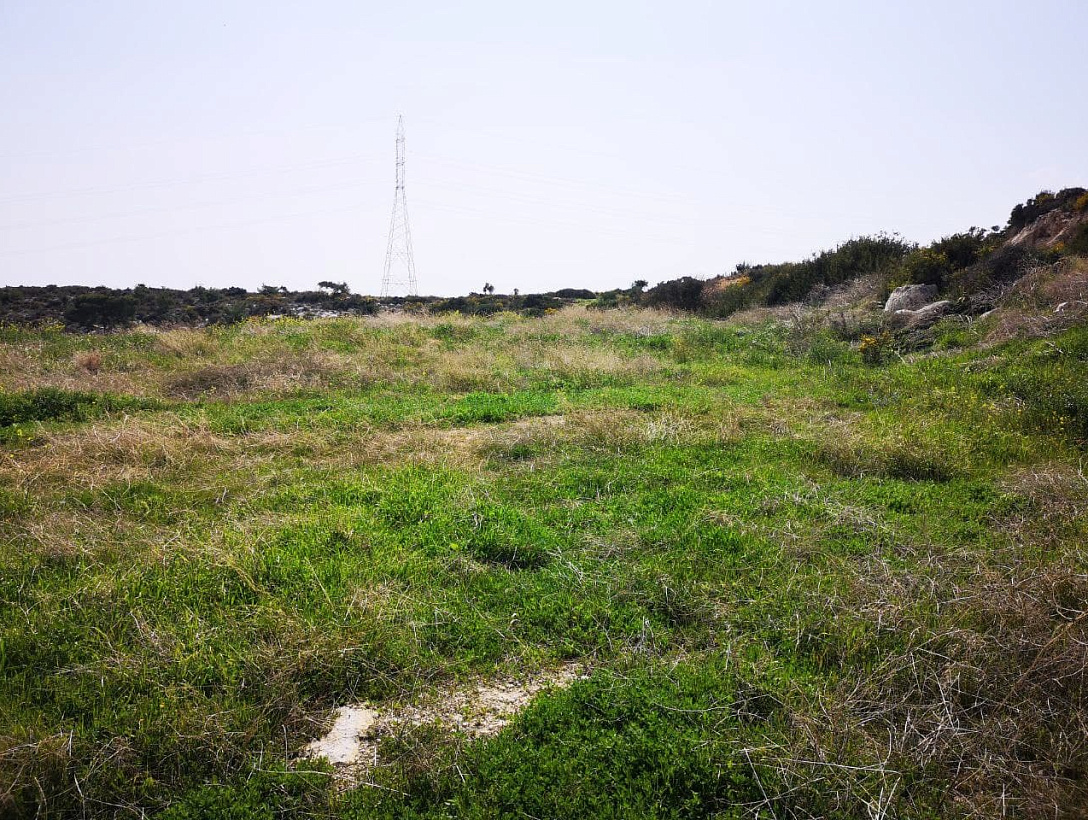 Land in Limassol